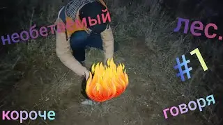 короче говоря - попал в необетаемый лес!!!