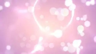 4k Free Video Background for Wedding