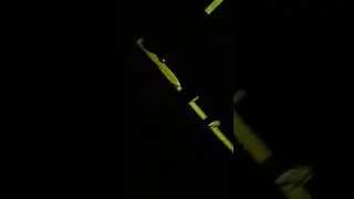 когда концерт затянулся, все случилось неожиданно)))