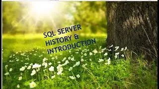 SQL SERVER HISTORY AND INTRODUCTION