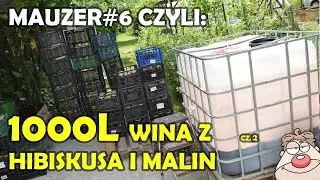 1000 litów wina! Projekt mauzer 6 - malina hibiskus cz. 2