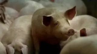 Будьте осторожны в еде!