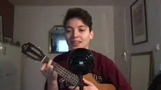 Wish You Were Gay Cover (Billie Eilish - Ukulele)