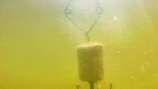 Dissolution of technoplankton in water during silver carp fishing.Fishing.