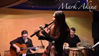 Irish Reel on Native American Flute