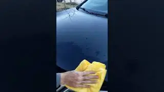 Waterless Wash + Hybrid Coat