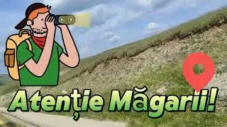 Cel mai înalt drum din România Transalpina. Au ieșit măgarii pe sosea!