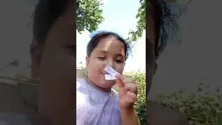 моя собака выбрала что ей по душе
