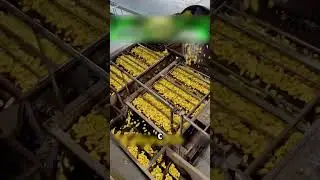 Вот как китайцы делают ДОШИРАК🤫🔥🍜