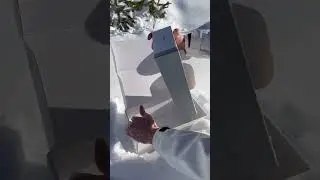 1st Pro model action camera?