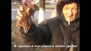 🔴Это зверь - Крыса, хорошая красивая. Это моя