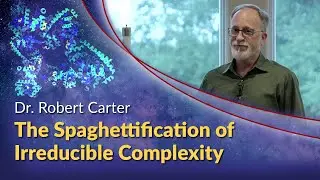 Dr. Robert Carter - The Spaghettification of Irreducible Complexity