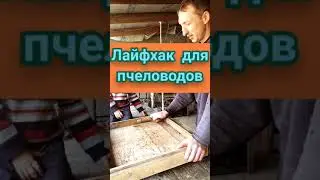 Чистка ульев. Попробуйте так же!