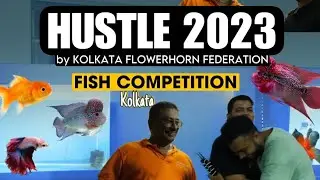 FLOWERHORN  GOLDFISH BETTA COMPETITION 2023 KOLKATA || AQUARIUM FISH EXHIBITION IN KOLKATA ||