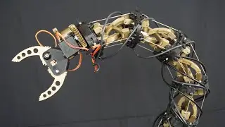 Animatronic Tentacle