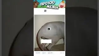 #приколы