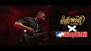 Limp Bizkit - Break Stuff (Tema_Hollywood Bass Cover )