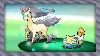 Live Shiny Rapidash After 10,714 Random Encounters! (Pokémon White)