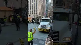 The Christmas Tree arrived this morning at 7:30am at Rockefeller Center in New York City