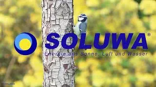 Frühlingsbeginn - unser neuer Mood-Clip