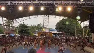 1st Runner Up Cheer Club All Star /Jungle Theme