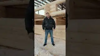 Построили дом из бревна!