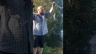 Какой-то пузатый подлещик #рыбалка #fishing