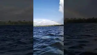 из лета в осень