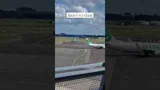 Transavia & KLM Boeing737 at Schiphol Airport Amsterdam #b737 #transavia #schiphol #airport  #ams