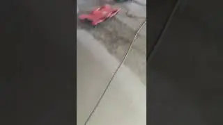 трудимся ....