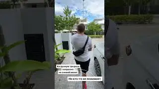 30 ноября 2023 г.