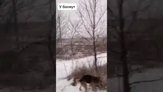 На сегодняшнем видео ВСУшник подтверждает, что Артёмовск (Бахмут) взят в окружение.