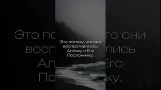 Мухаммад Аль-Люхайдан Сура Анфаль Аяты 12-14 