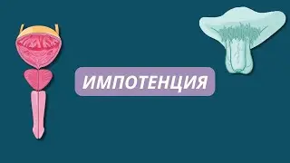 Причины импотенции и ее лечение