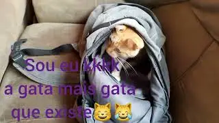 aqui ninguém me acha!😹            Tuca Tuquinha💞