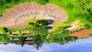 Sunday Flows