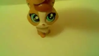 Танцы петшопов