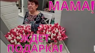 SAMVEL ADAMYAN/ MARCH 8 CONTINUES! MOM IS WAITING FOR A GIFT! 