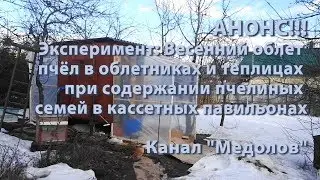 АНОНС!!! Весенний облет  пчёл в облетниках и теплицах   в кассетных павильонах