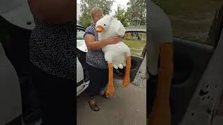 Гусь-обнимусь подарок жене🥰