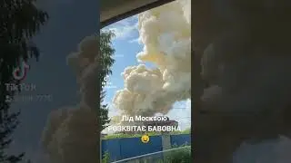 Бавовна