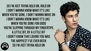 Shawn Mendes - When You're Gone (Lyrics)
