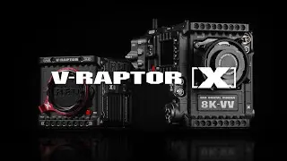 V-RAPTOR [X] 8K VV | Official Introduction | #ShotonRED