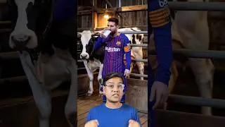 Convert Photo to Video Free With AI 