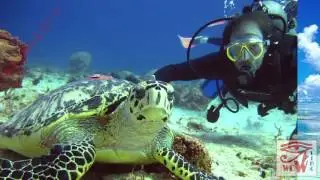 Горячий тур видео для бизнеса заказать