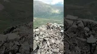 Природа Алтая ⛰️