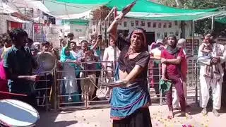 सुशीला किन्नर डांस वीडियो पुष्कर 💛