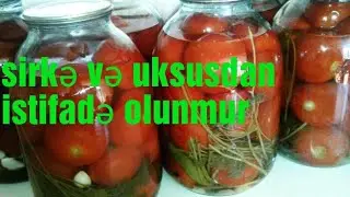 Pamidor bağlaması pamidor turşusu