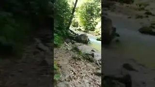 Река Курджипс. Спокойное течение в ста метрах выше водопада. Поселок Мезмай