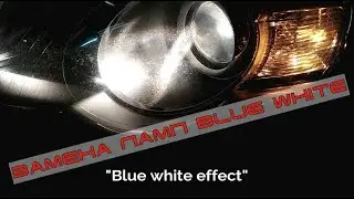 Замена ламп ближнего света на лампы Blue white VW Passat B6